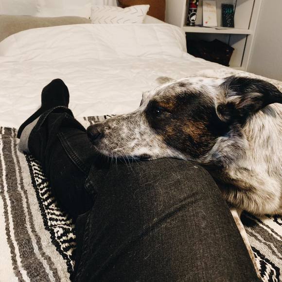 Meet your Posher, Rob. - Picture 2 of 2